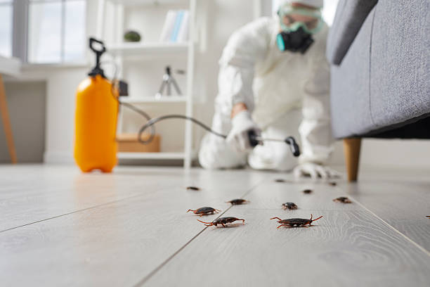 Trusted Fumigation Services service in Wills Point, TX - Nex Pest Control